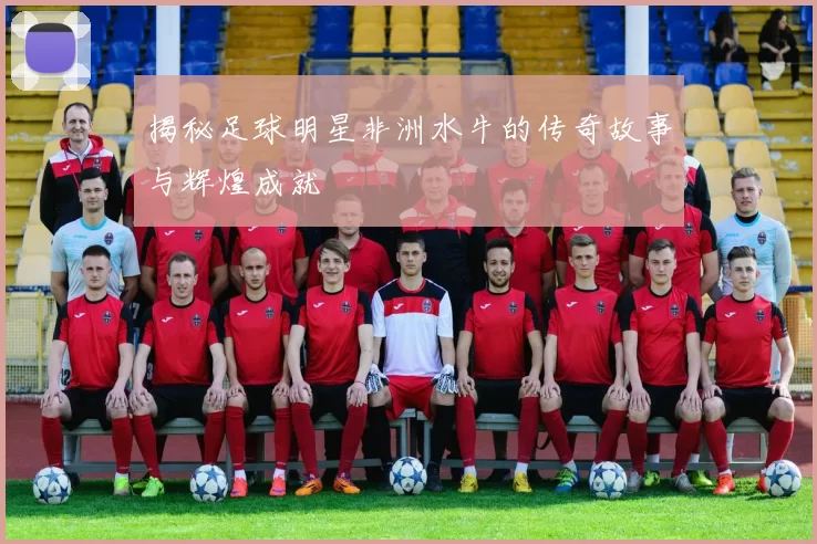 揭秘足球明星非洲水牛的传奇故事与辉煌成就
