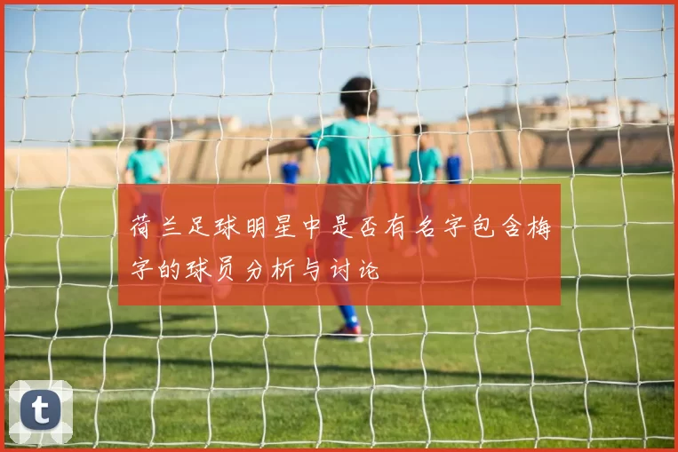荷兰足球明星中是否有名字包含梅字的球员分析与讨论