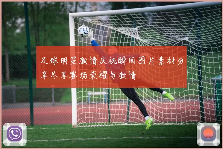 足球明星激情庆祝瞬间图片素材分享尽享赛场荣耀与激情