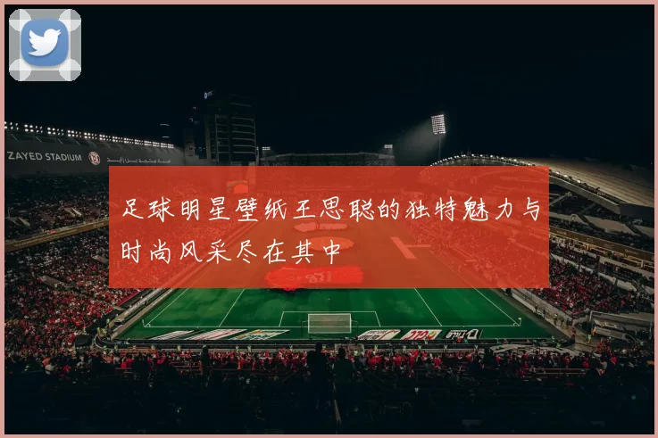 足球明星壁纸王思聪的独特魅力与时尚风采尽在其中