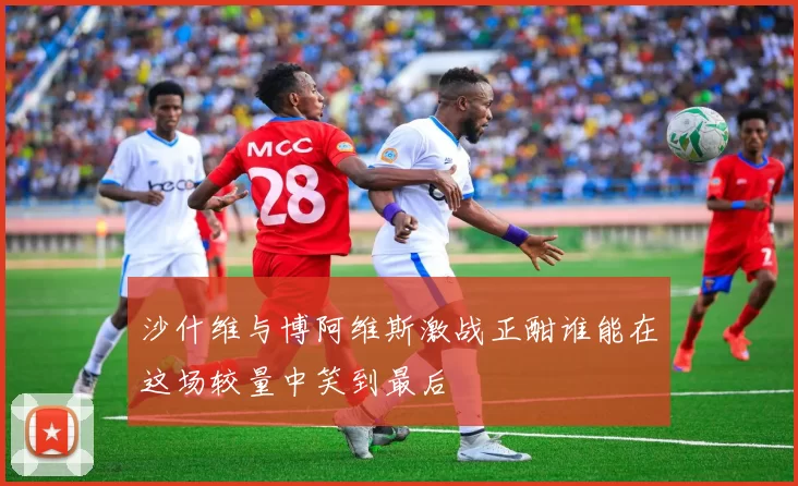 沙什维与博阿维斯激战正酣谁能在这场较量中笑到最后